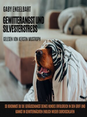 cover image of Gewitterangst und Silvesterstress